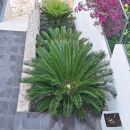 بيت للعطل Ciovo تروغير