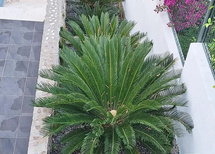 Hébergement de vacances Ciovo Trogir